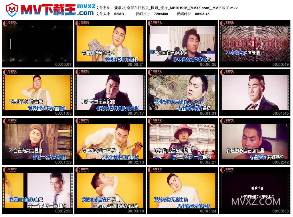 魏歌-初恋留在回忆里_国语_流行_ME201926